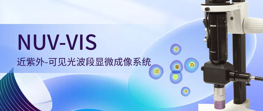 QQ截圖20241104115146.png